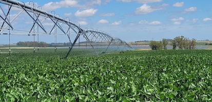 Thumbnail for Valuing Water Quality and Quantity Trade-offs from Irrigation in the San Salvador Basin, Uruguay – An Integrated Approach